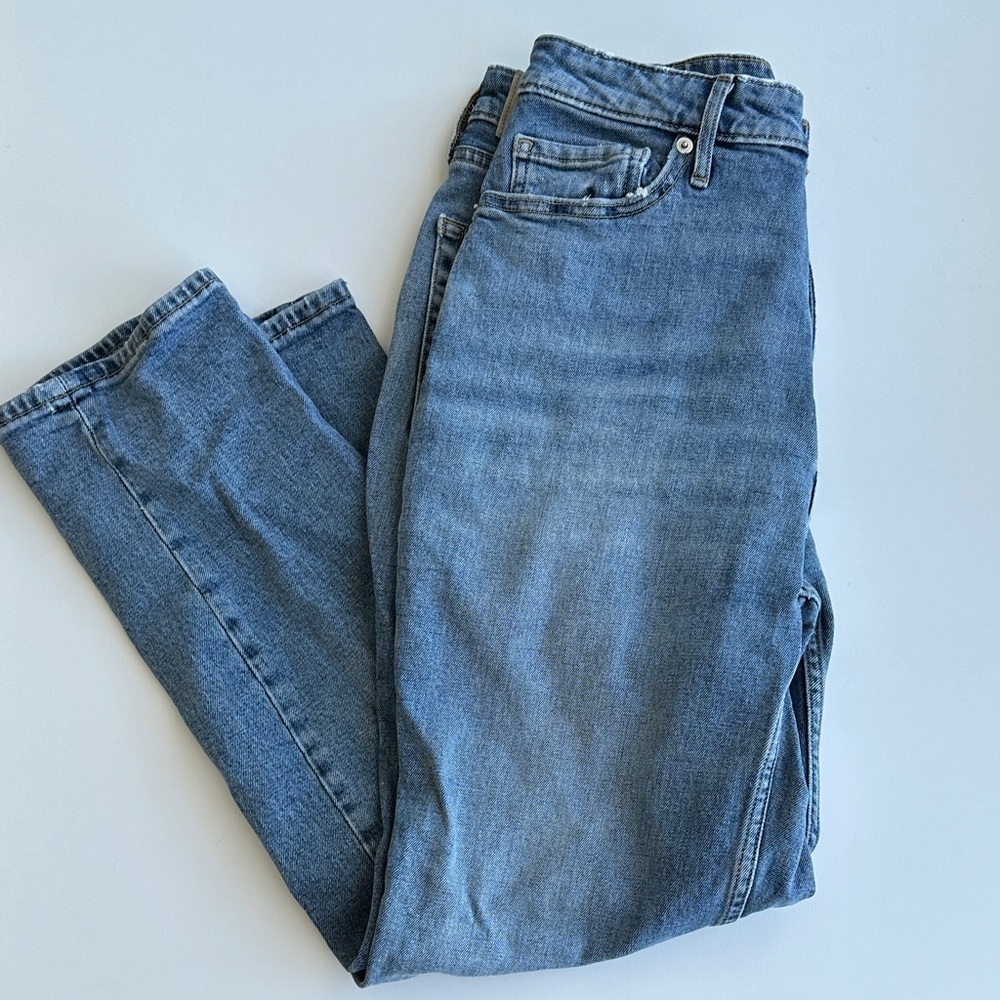 Everlane Light Blue Crop The Curvy Cheeky Jean